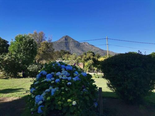 Storms River House | Next to Heaven Guesthouse