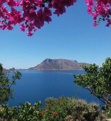 Kalymnos Apartment | Niotis Studios