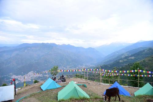Chamba Other | Nomadic Chamba By Eco Travellers