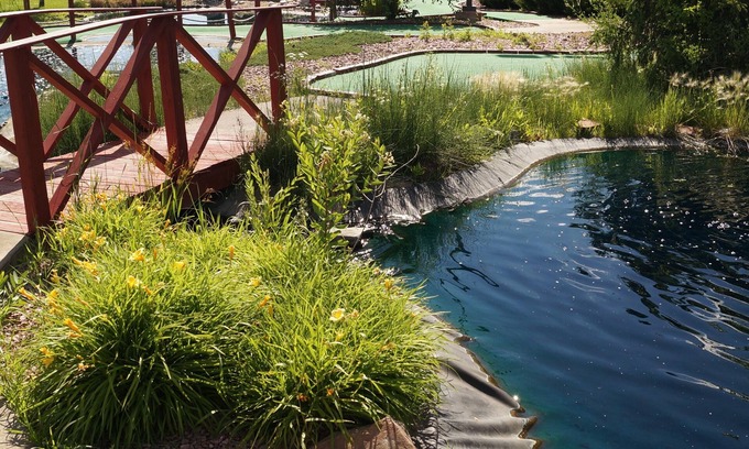 Norfolk Hotel | Norfolk Lodge & Suites, an Ascend Collection Hotel