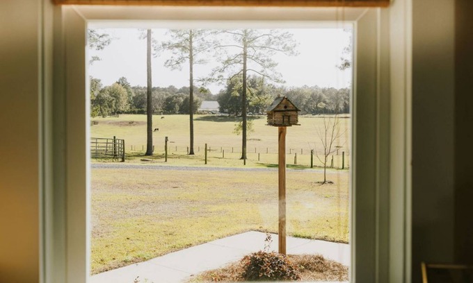 Tallahassee Other | Nutbird Hill Farm: Charming 2-bed cottage in historic red hills of Tallahassee.