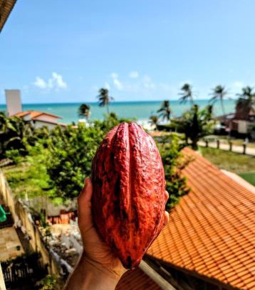 Cumbuco Apartment | O Rei Do Cumbuco - Cumbuco Residence