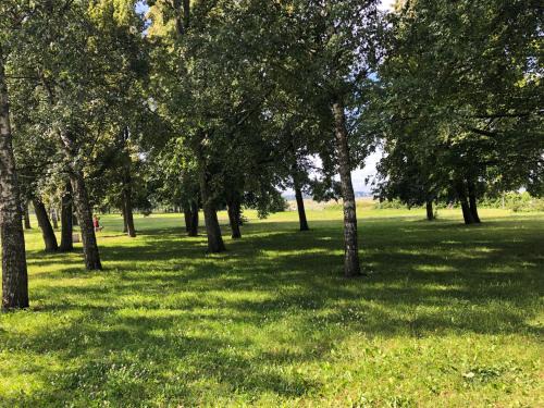 Pelguranna Apartment | Ocean & Beach