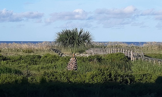 Beachwalk Condo | Ocean Front & pool view. Hunting Island pass included