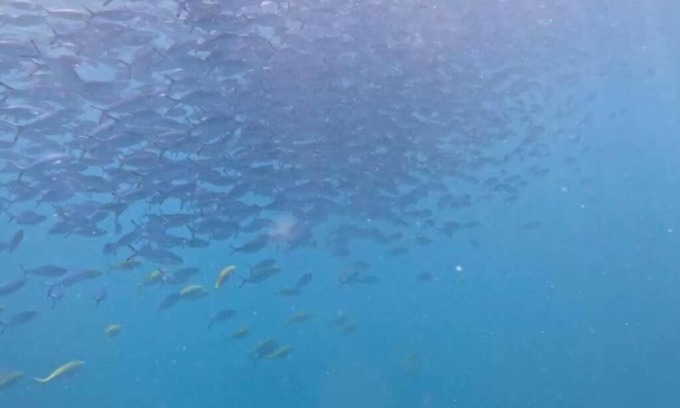 Maafushi Hotel | Ocean Pearl :Deluxe Standard Room