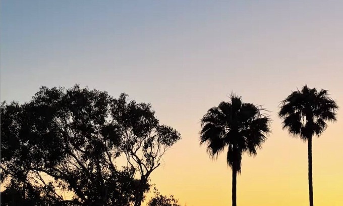 Malibu Condo | Ocean-View 2-Bedroom Condo — Your Serene Malibu Retreat