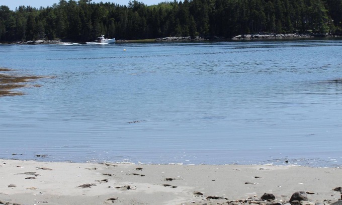 Lamoine House | Oceanfront Private Beach! Family friendly, Multi-Generational House by Acadia!