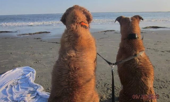 Seabrook Island Villa | Oceanfront Villa, 2nd Floor Sensational Views nSTR25-000001 BL25-000017