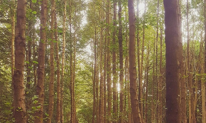 Wethersfield RV Rental | Off Grid private parties camping only no bed! per person kids u16 free.