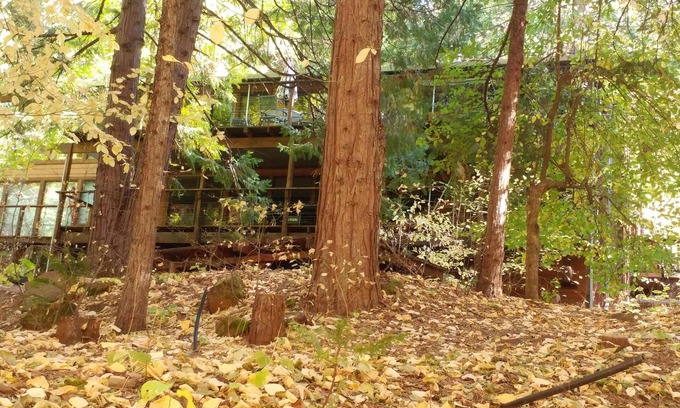 Glencoe Cabin | Old School Fun At Lake Mont Pines Creekside Cabin