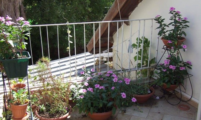 Katzrin Apartment | Olga Katz apartment