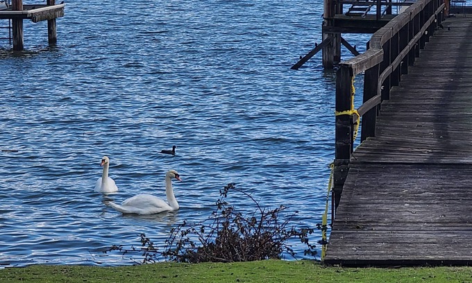 Lakeport House | On the water with Boatdock & Hot-tub, 14 guests at Lakeport