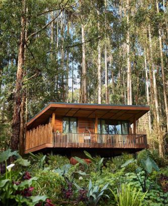 Kinigi Resort | One&Only Gorilla's Nest