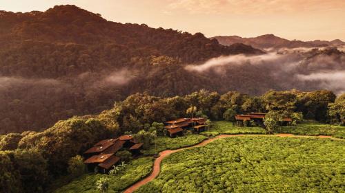 Gisakura Cabin | One&Only Nyungwe House