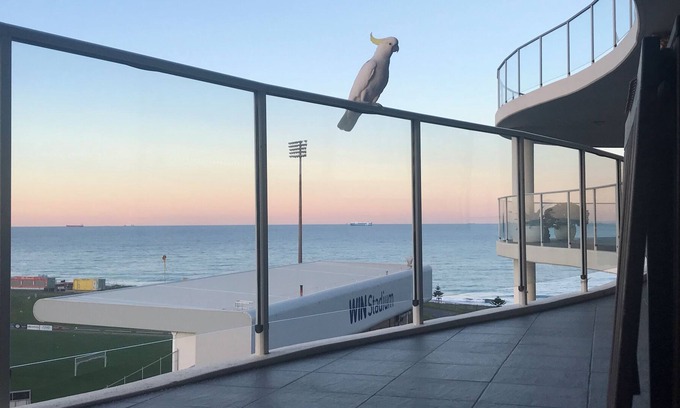 Wollongong Apartment | Only July, Christmas last 2 weeks Dec/New years, Ocean view. 9th level Luxury