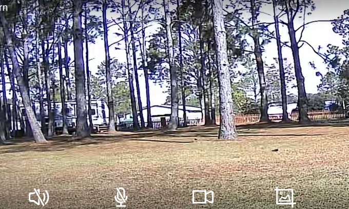 Elberta RV Rental | Orange Beach/Gulf Shores Primitive Camping Area.