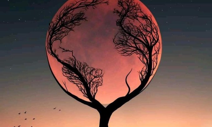 Bouake Apartment | Oumar Cissé