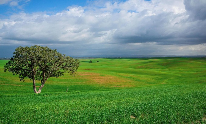 Westside Santa Cruz House | Our rooms location offers free breakfast & easy access to the Boardwalk