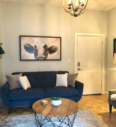 Downtown Dunedin Apartment | Overlooking Downtown Dunedin Two Bedroom apartment NO KIDS, NO PETS