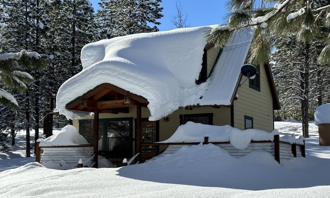 Foresta Cabin | Owl Moon Cabin - Rare jewel of a cabin located inside Yosemite National Park