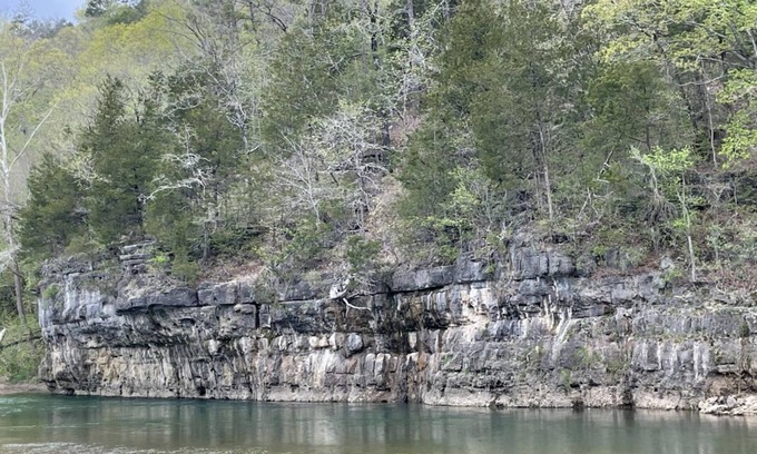 Teresita House | Ozark Getaway! Near Jacks Fork River with Free Parking! Pets Allowed!