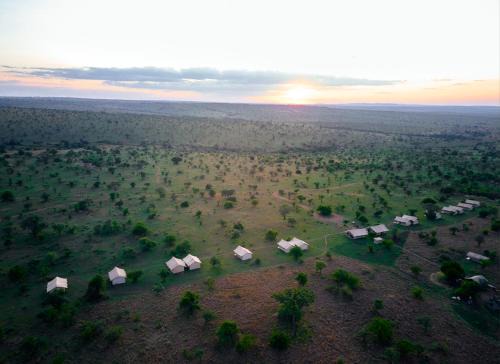 Serengeti National Park Other | Pamoja Migration Camp