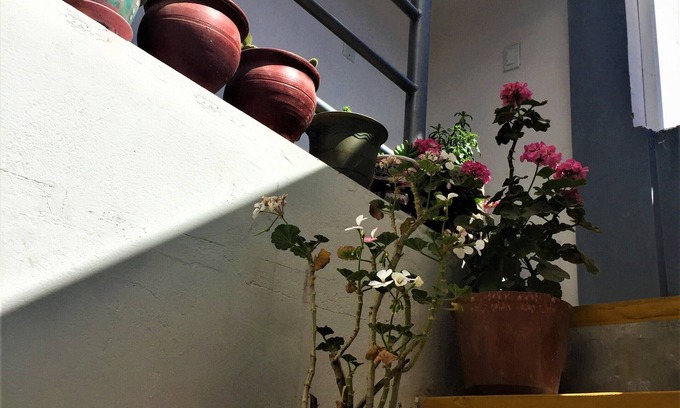 Cusco Apartment | Panaqa´s Flat - New Duplex in Cusco