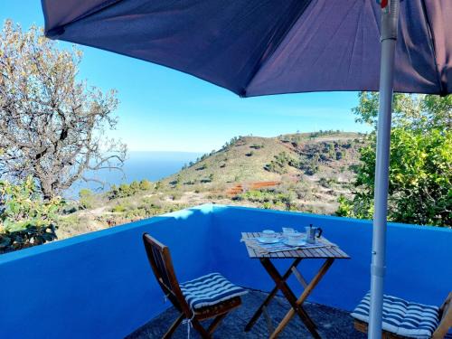 Santo Domingo House | Panchita