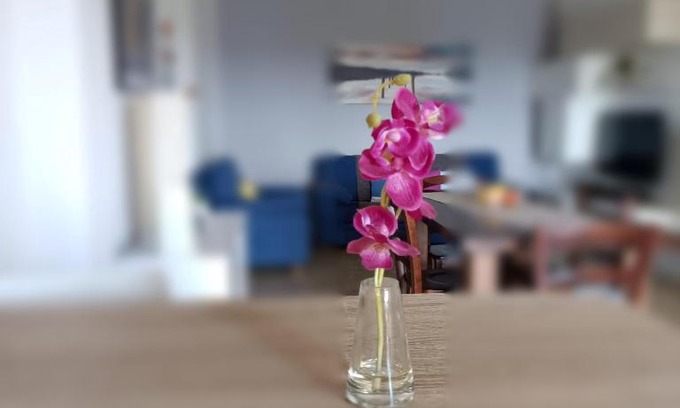 Buon Pastore-Sant'Agnese-San Damaso Apartment | Panoramapointbnb