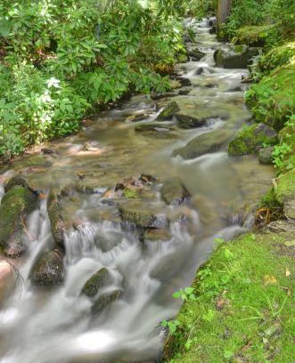 Cherokee Apartment | Panther Creek Cabins