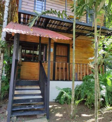 Cahuita House | Papaya Wildlife Lodge