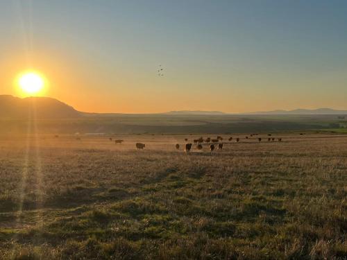 Bergrivier House | Papkuilsvlei Selfsorg Plaashuis