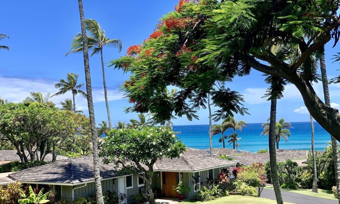 Napili House | Paradise at Alaeloa - Swim with the Turtles!