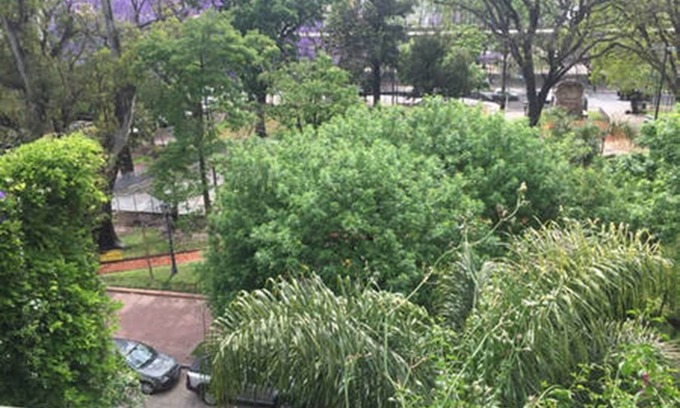 Barracas Apartment | Paradise in the City! San Telmo, Barracas, la Boca