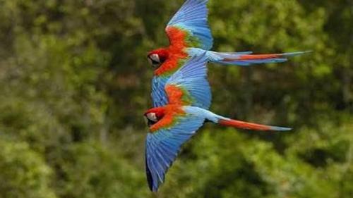 Pousada do Rio Quente Apartment | Park Veredas Apto 334