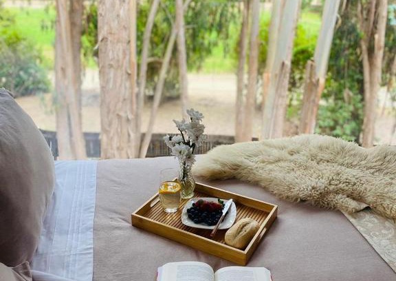 La Laguna Hotel | Parque Laguna de Zapallar