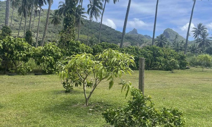 Turangi Tapere Villa | Peaceful 2-bedroom island retreat near beaches, cafés & shops; private & comfy