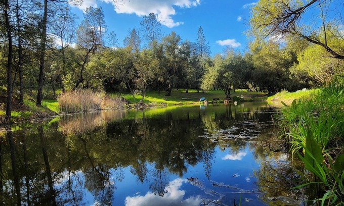 Cedar Ridge House | Peaceful Pond Retreat - Waterfront Camper Glamping