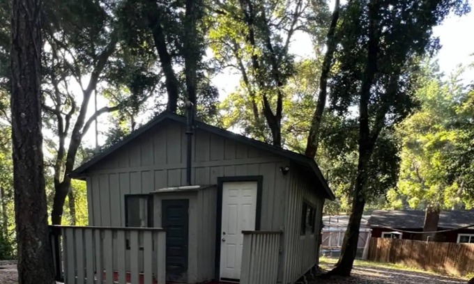 La Honda Apartment | Peaceful Small Studio /Cabin is 100 years old with WiFi in La Honda Forest