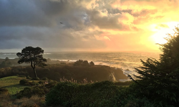 Mendocino House | Pelican Point, Dramatic Ocean & Coast Views, Spa, Next to Town
