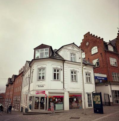 Viborg Apartment | Penthouse Viborg