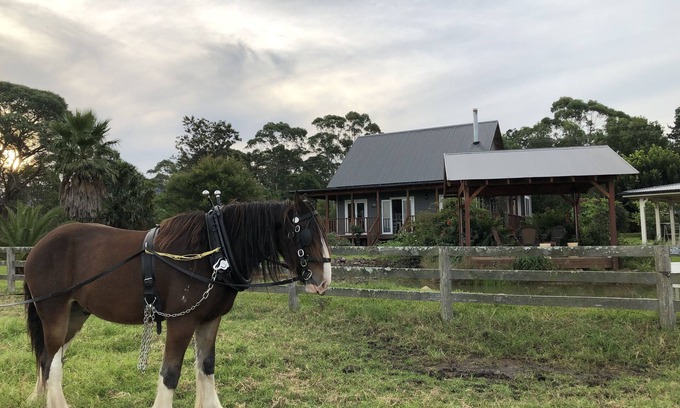 Berry Cottage | Peppergrove Cottage