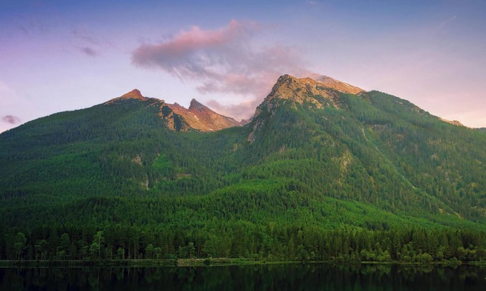 Walnut Creek House | Perfect combination of comfort and convenience!