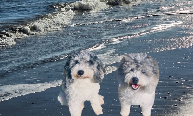 Myrtle Beach House | Pet Friendly-extra charge. Clean & Cozy 2 bdrm, 2.5 bath home,2 blocks to beach.