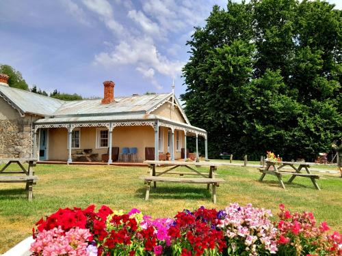 Waipiata Cabin | Peter's Farm Lodge