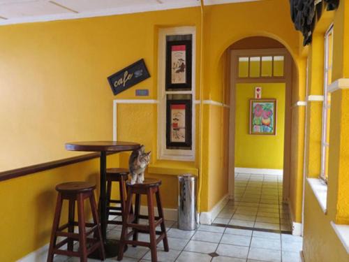 Port Elizabeth Central Hotel | Phoenix Hotel