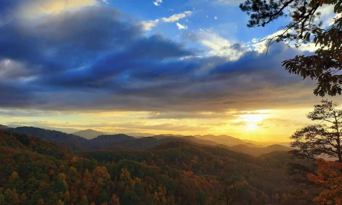 Pigeon Forge Apartment | Pickle ball & Firepit in February @The Burrows