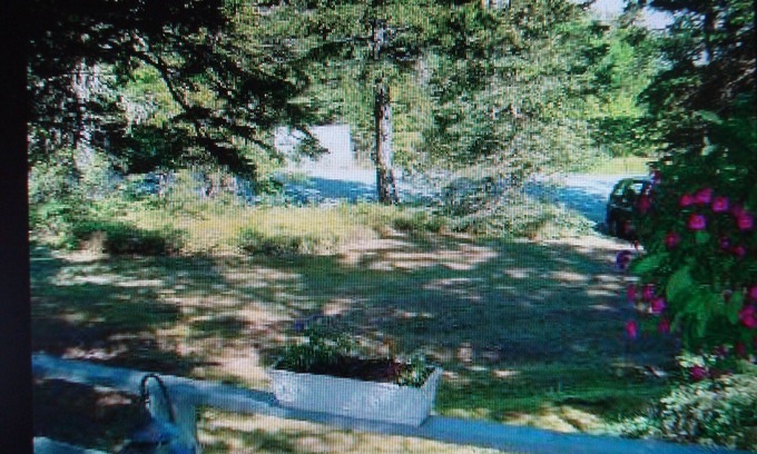 Mount Desert Cabin | Picturesque Cottage in Pretty Marsh.