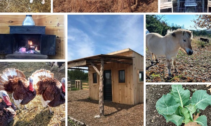 Wasola Cabin | Pioneer Cabin and Wood Fired Sauna on Our Sustainable Off Grid Educational Farm