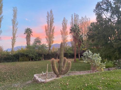 Rivadavia Hotel | Pircas de Puyuta